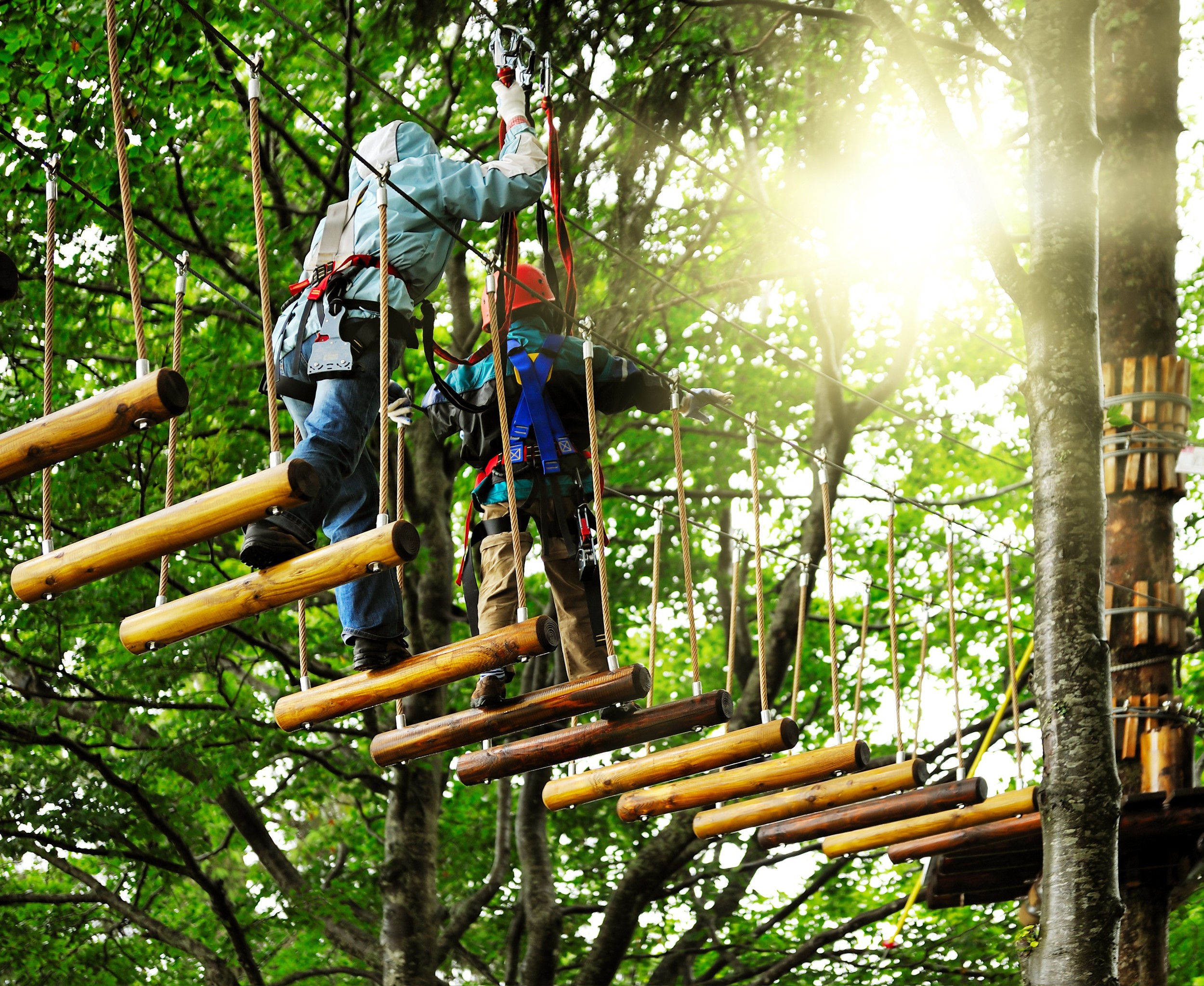 Ekstremalna Przygoda w Adventure Park