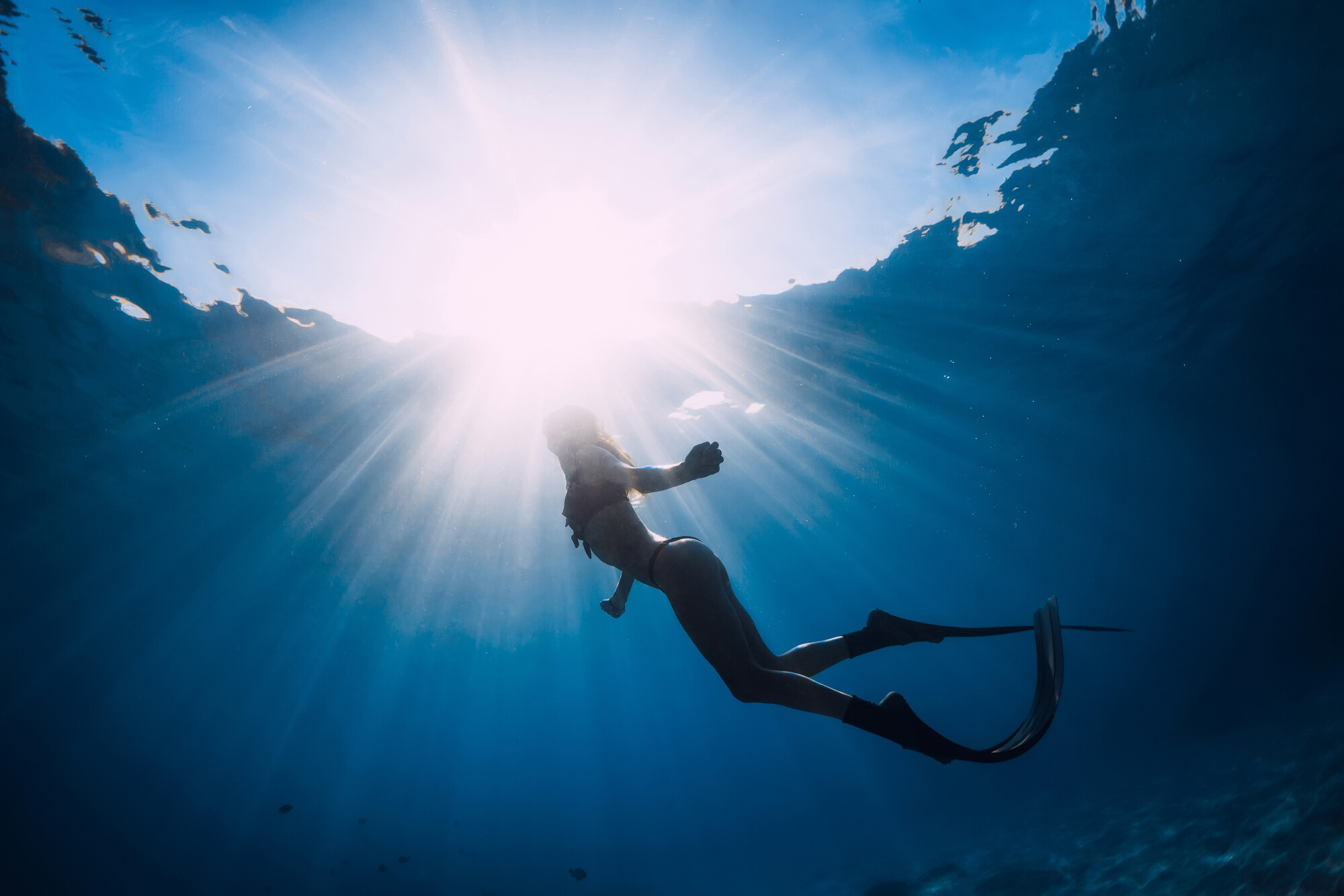 Indywidualna Lekcja Nurkowania Freediving