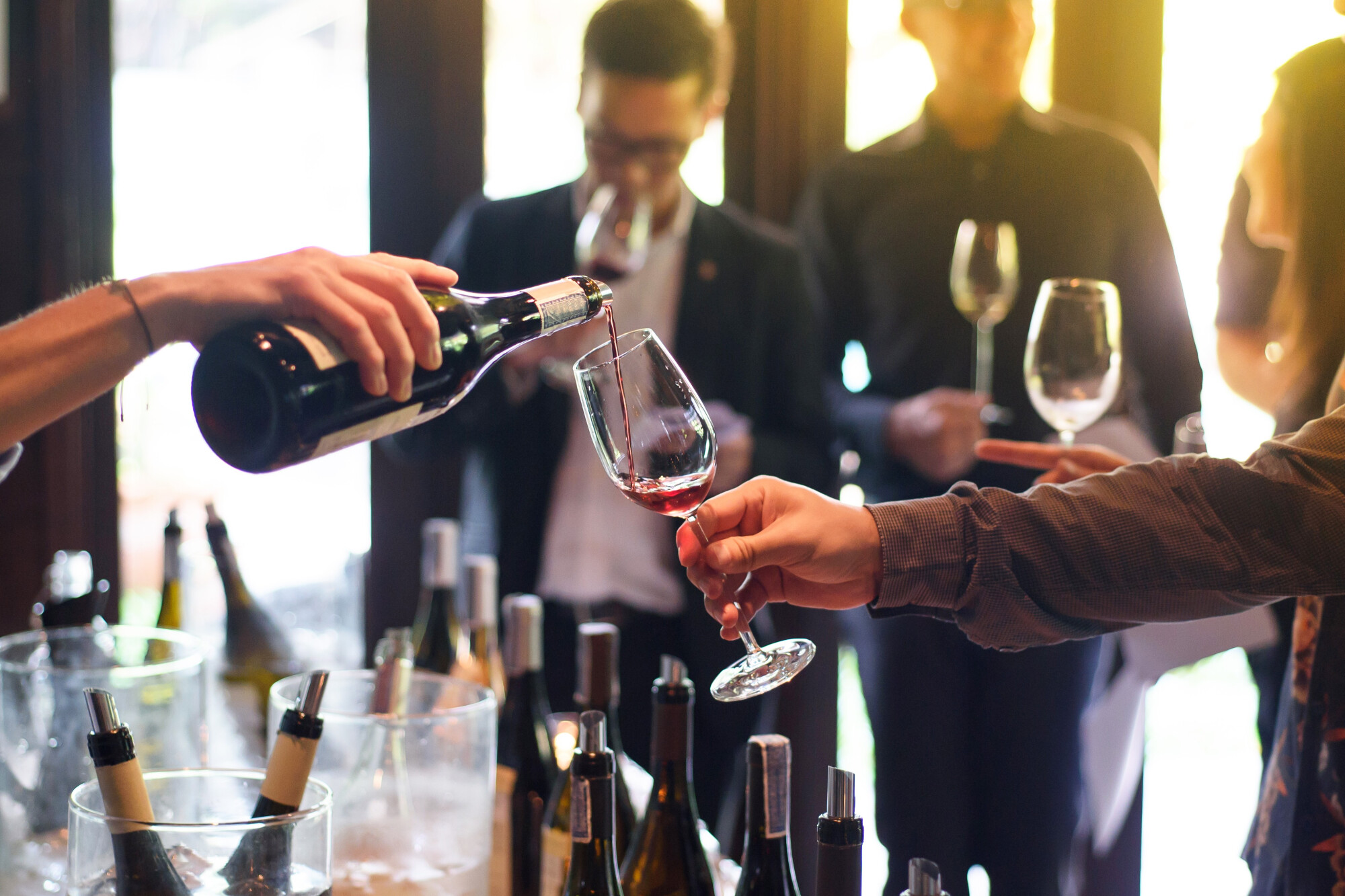Kurs Sommelierski