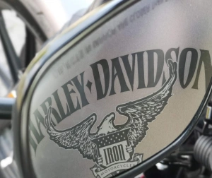 Jazda Motocyklem Harley-Davidson z Filmowaniem | Wiele Lokalizacji